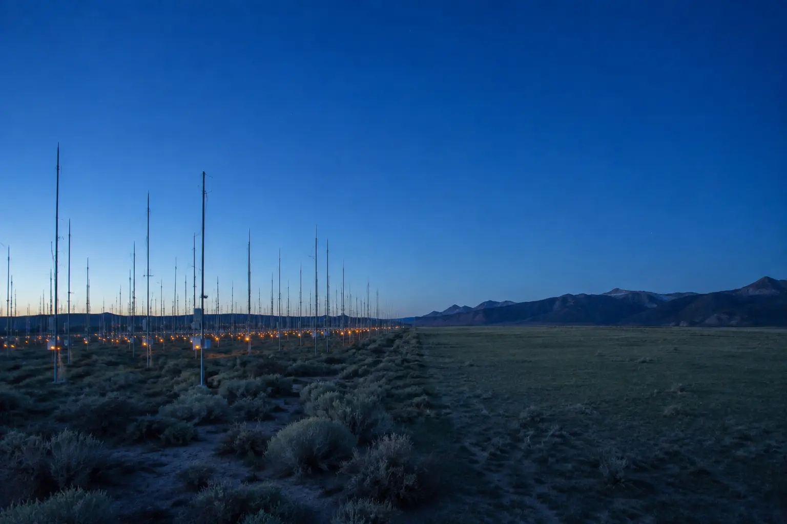 An antenna field ending sharply at the edge of an untouched meadow at blue hour